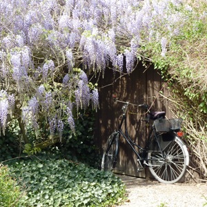 Mit dem Fahrrad auf malerischen Wegen